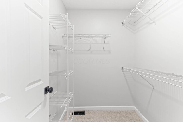 spacious closet with visible vents and carpet flooring