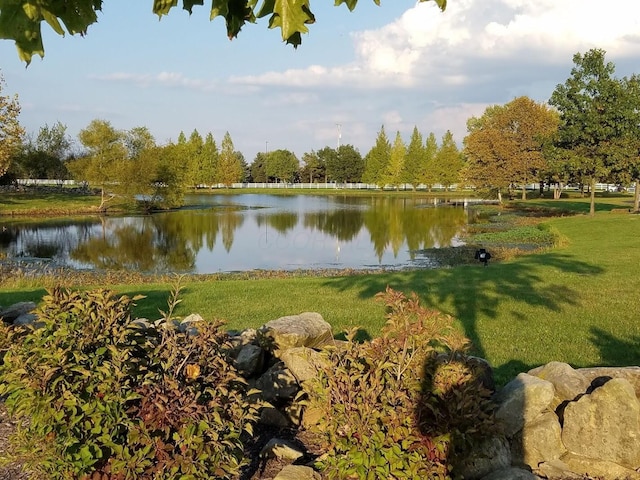 6884 Ballantrae Pl, Dublin, OH 43016 - water view