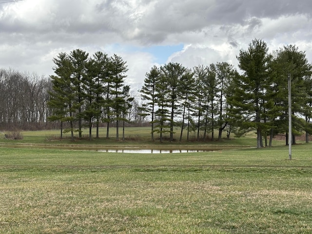 view of yard with a water view