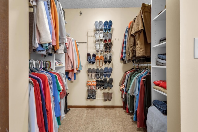 spacious closet featuring carpet