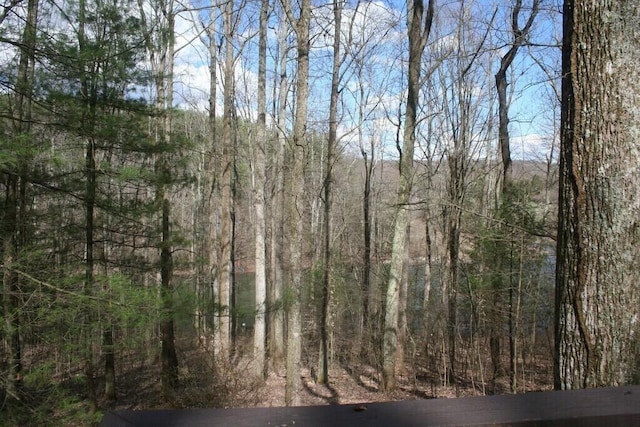 view of nature featuring a forest view