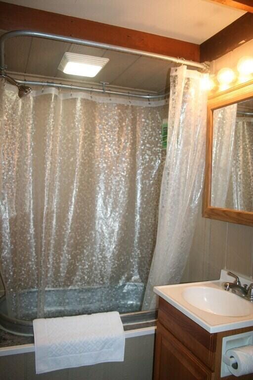 full bathroom with vanity and a shower with curtain