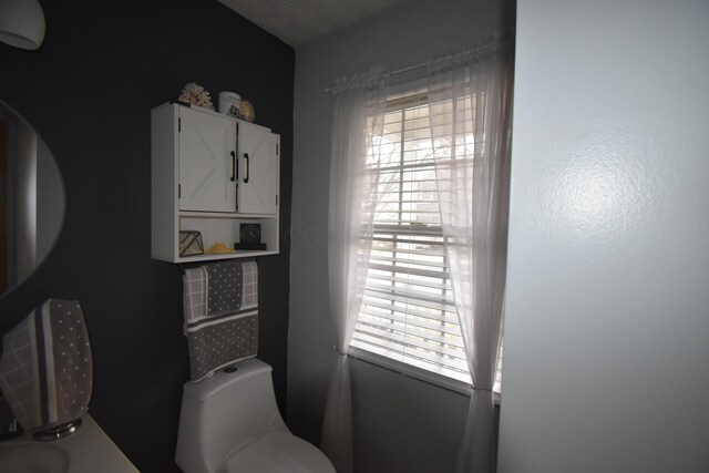bathroom with a wealth of natural light and toilet