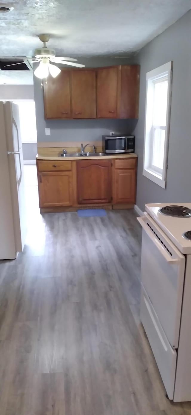 kitchen featuring light wood-style flooring, a ceiling fan, a sink, white appliances, and brown cabinetry