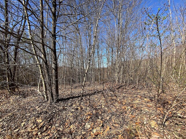 0 Kelly Rd, Ray, OH 45672