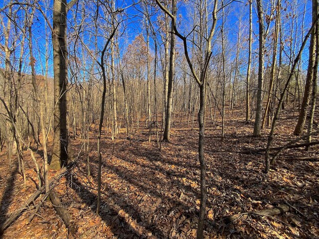 0 Kelly Rd, Ray, OH 45672