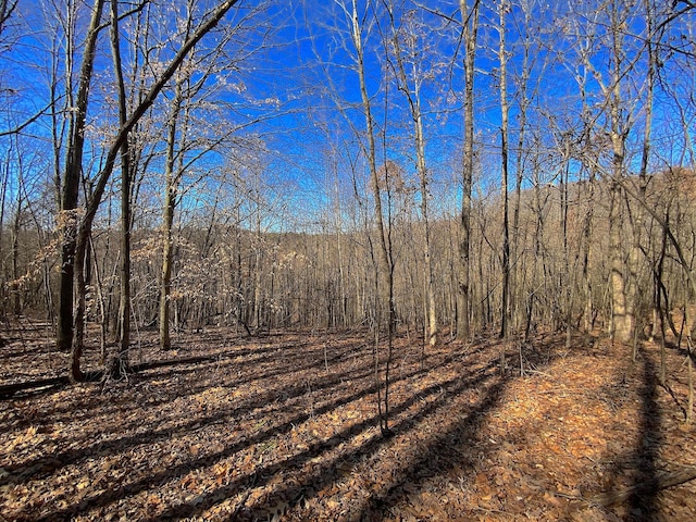 0 Kelly Rd, Ray, OH 45672