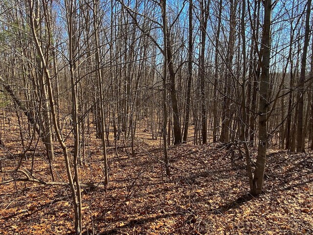 0 Kelly Rd, Ray, OH 45672