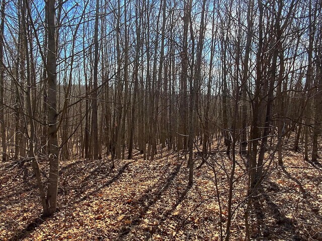 0 Kelly Rd, Ray, OH 45672