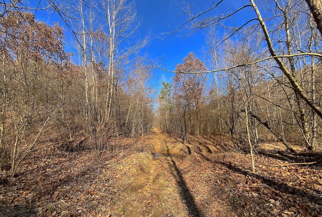 0 Kelly Rd, Ray, OH 45672