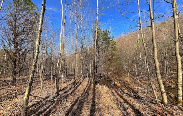 0 Kelly Rd, Ray, OH 45672