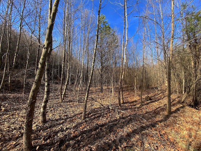 0 Kelly Rd, Ray, OH 45672