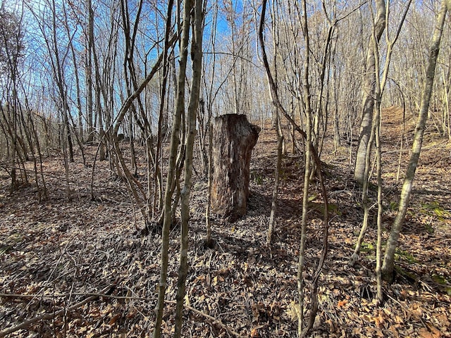 0 Kelly Rd, Ray, OH 45672