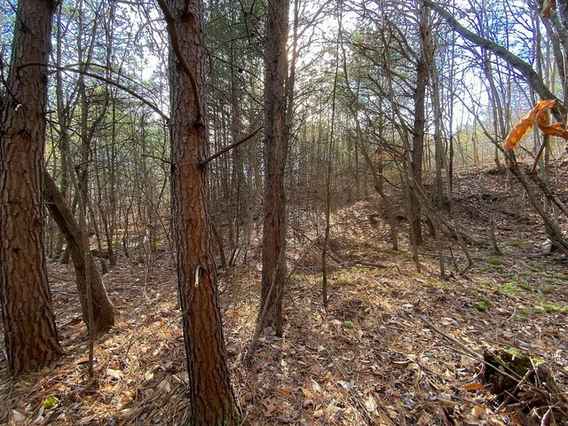 0 Kelly Rd, Ray, OH 45672