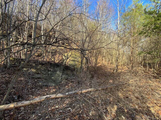 0 Kelly Rd, Ray, OH 45672
