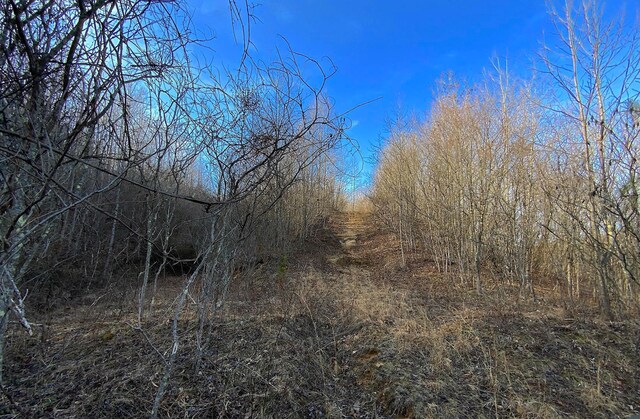 0 Kelly Rd, Ray, OH 45672