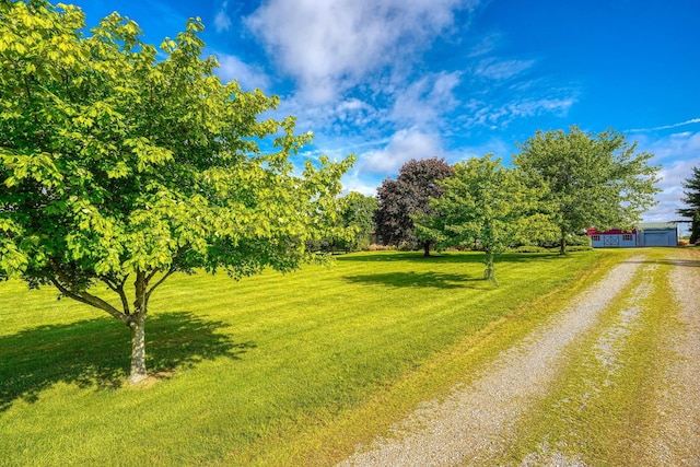 7704 Old Tarlton Pike, Circleville, OH 43113 - view of green lawn featuring driveway and a garage