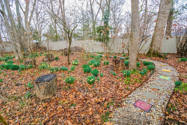 view of yard featuring a fenced backyard
