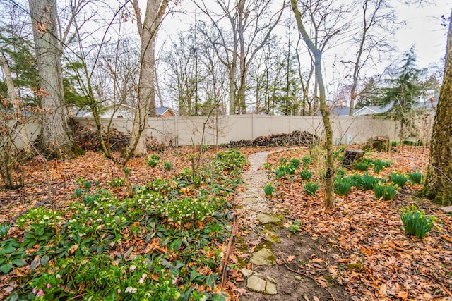view of yard with a fenced backyard