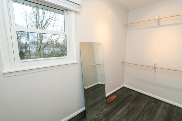 spacious closet with visible vents and dark wood finished floors