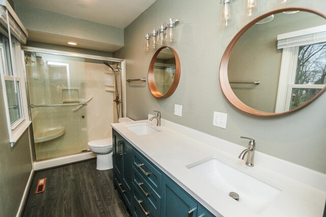 bathroom with a shower stall, toilet, wood finished floors, and a sink