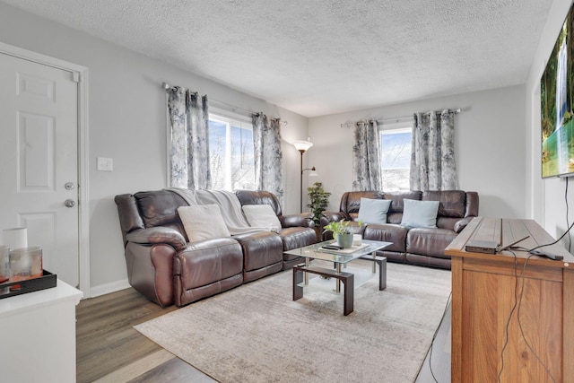 1333 Carolyn Ave, Columbus, OH 43224 - living room featuring wood finished floors and a textured ceiling