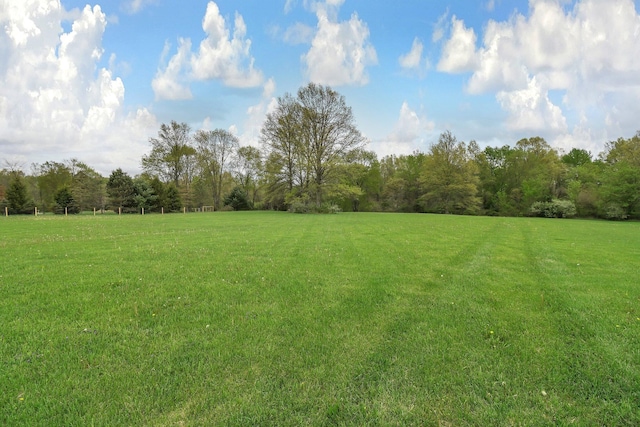 view of yard featuring a view of trees