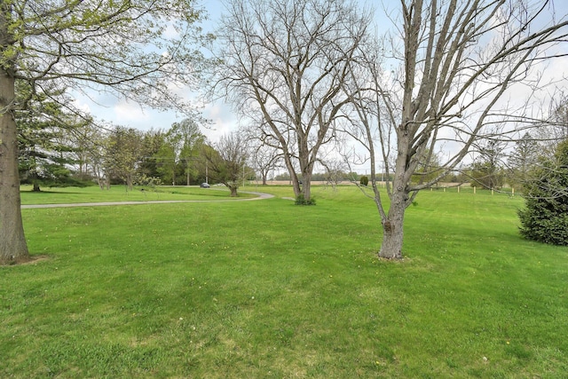 view of yard