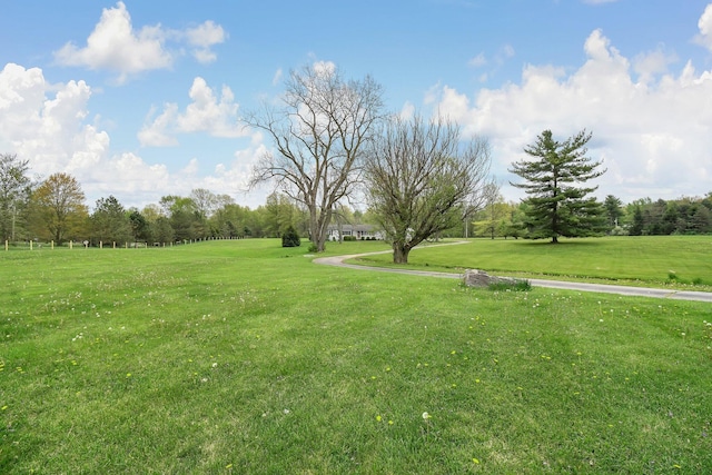 view of community with a yard