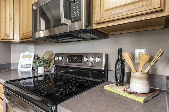 interior details with stainless steel appliances