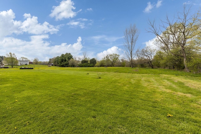 view of yard with a rural view
