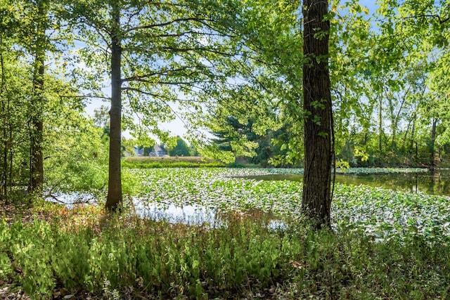 water view