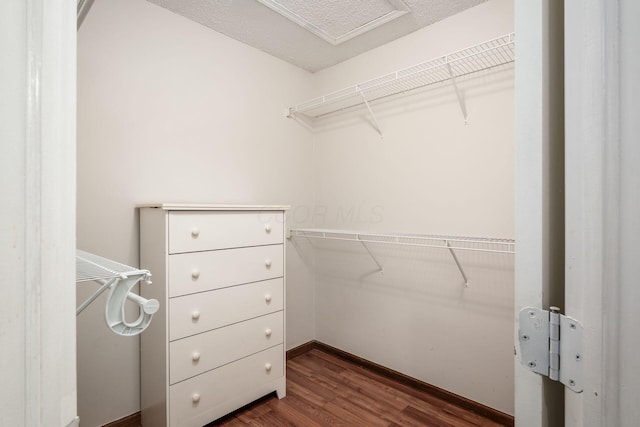 walk in closet featuring dark wood-style flooring