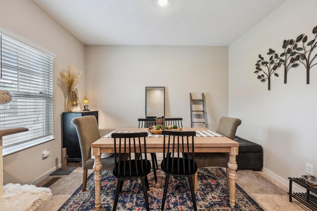 268 Aaron Dr, Delaware, OH 43015 - carpeted dining area featuring baseboards