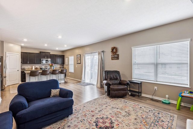 268 Aaron Dr, Delaware, OH 43015 - living area with baseboards, light wood-style flooring, and recessed lighting