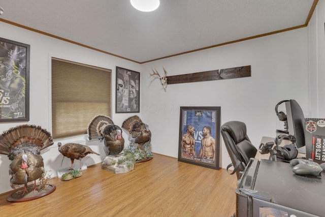 office space with wood finished floors and ornamental molding