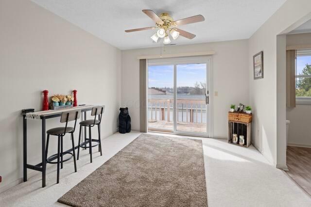 interior space with a healthy amount of sunlight and a ceiling fan