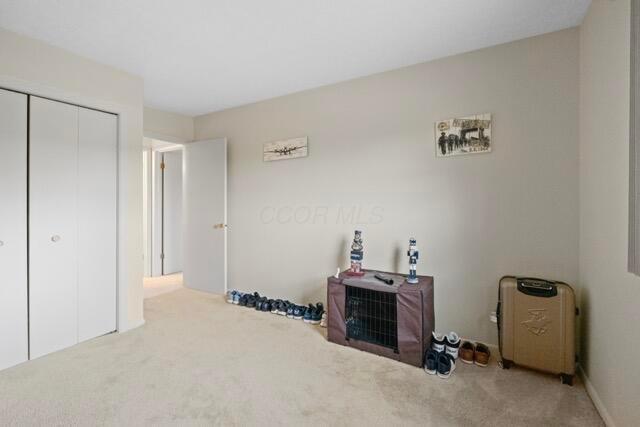 interior space featuring carpet and a closet