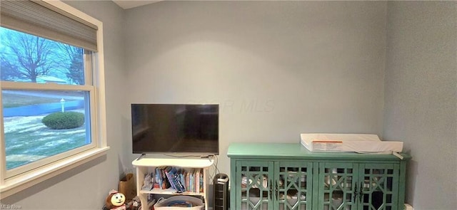 view of room details