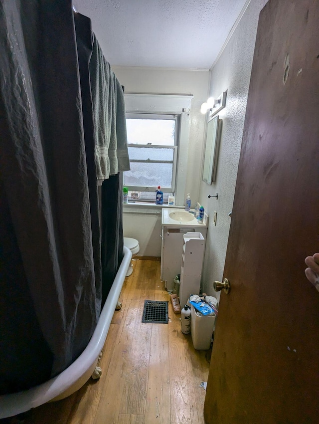 bathroom featuring toilet, hardwood / wood-style flooring, a textured ceiling, vanity, and a textured wall