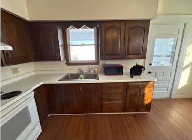 kitchen with a sink, wood finished floors, light countertops, and electric stove