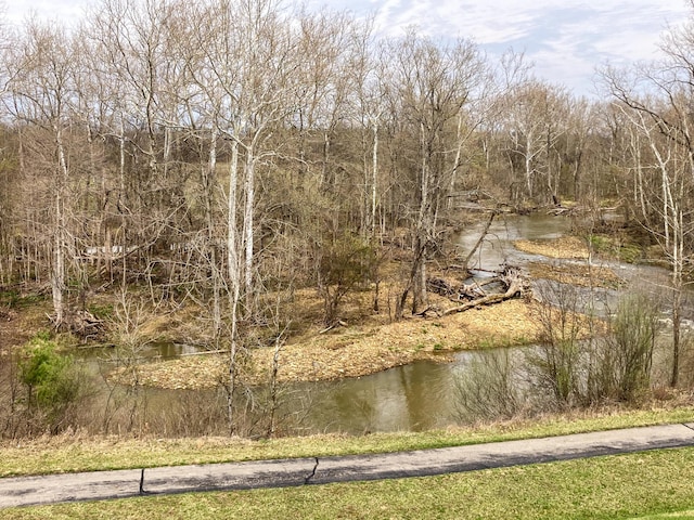 view of water feature with a forest view