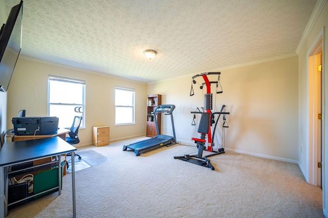 exercise room with crown molding, baseboards, carpet, and a textured ceiling