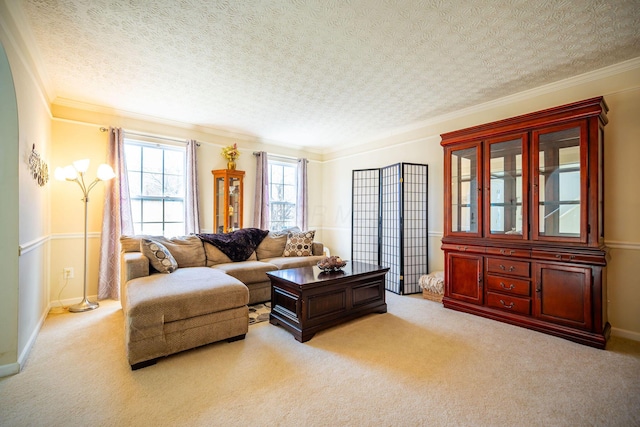 living area with light carpet, baseboards, ornamental molding, and a textured ceiling