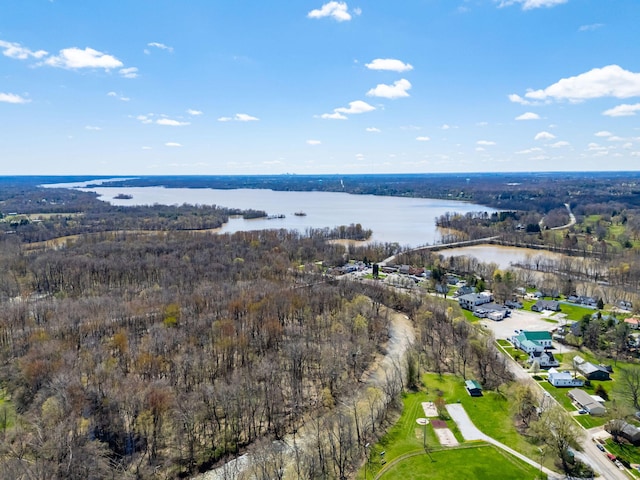 aerial view featuring a water view and a view of trees