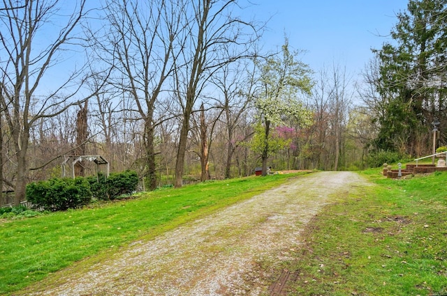 4175 Reynoldsburg Baltimore Rd NW, Baltimore, OH 43105 - view of street with a forest view