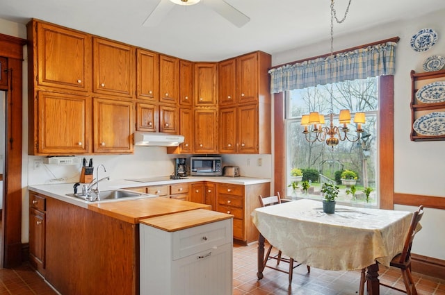 4175 Reynoldsburg Baltimore Rd NW, Baltimore, OH 43105 - kitchen featuring a sink, stainless steel microwave, brown cabinets, black electric stovetop, and under cabinet range hood
