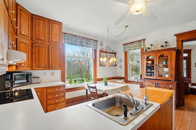 4175 Reynoldsburg Baltimore Rd NW, Baltimore, OH 43105 - kitchen featuring a sink, stainless steel microwave, extractor fan, black electric stovetop, and light countertops