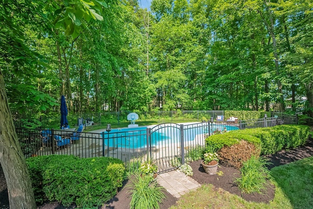 9047 Sequoia Ct, Plain City, OH 43064 - view of community pool