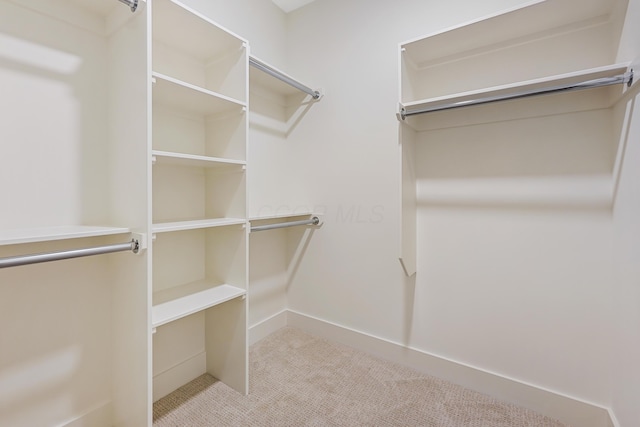 spacious closet with carpet floors